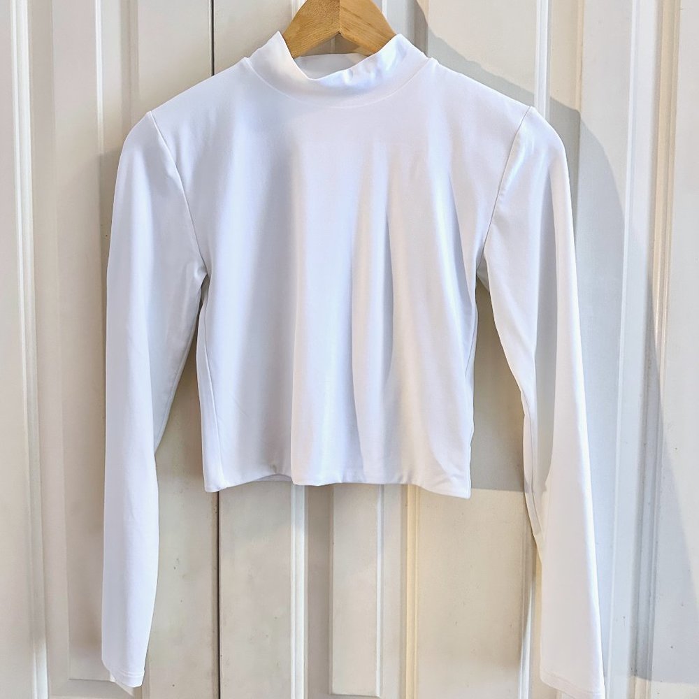 Aritiza Cropped Turtleneck